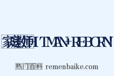 家庭教师HITMAN+REBORN!是什么意思的图片